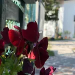 Casaroman Bed & Breakfast San Floriano del Collio