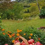Casaroman Bed & Breakfast 3*