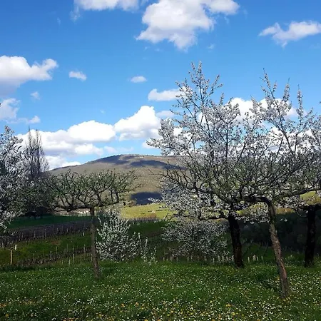 Casaroman Frühstückspension San Floriano del Cóllio