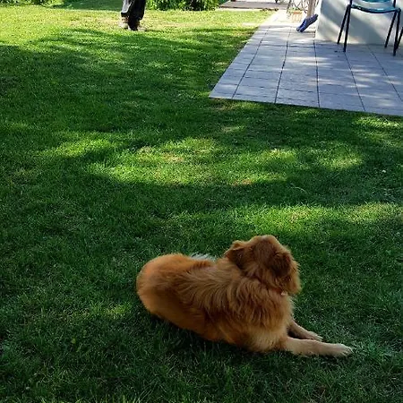 Casaroman فندق مبيت وإفطار San Floriano del Cóllio