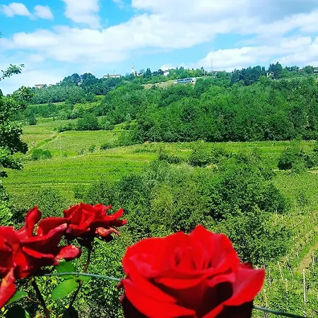 Casaroman فندق مبيت وإفطار San Floriano del Cóllio