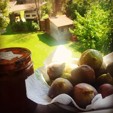 فندق مبيت وإفطار Casaroman