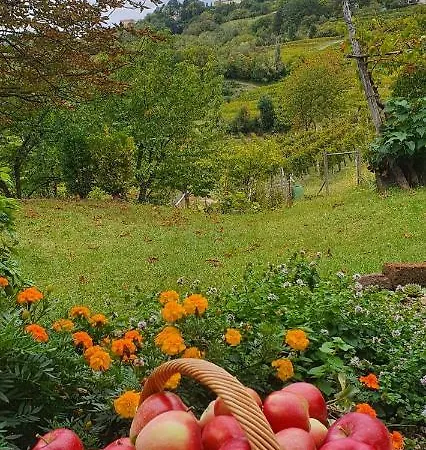 Casaroman Bed & Breakfast 3*