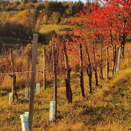 فندق مبيت وإفطار Casaroman 3*