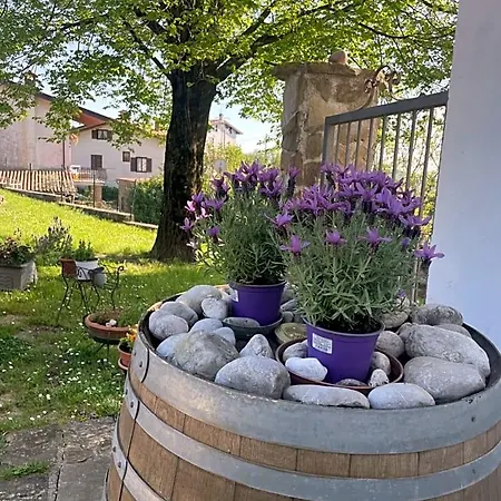 Casaroman فندق مبيت وإفطار San Floriano del Cóllio